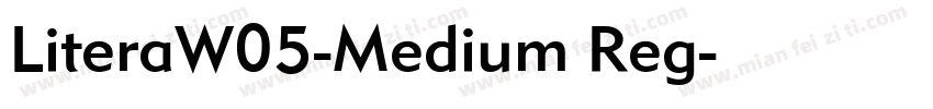 LiteraW05-Medium Reg字体转换